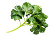 © faical - isolated parsley vegetable , GENERATIVE AI