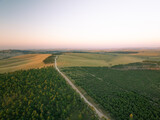 Fototapeta Konie - Aerial view of beautiful landscape with path