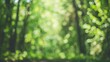 © Christian - blurry forest trees leafs background, copy and text space, 16:9