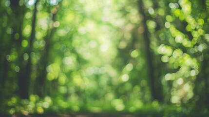 blurry forest trees leafs background, copy and text space, 16:9