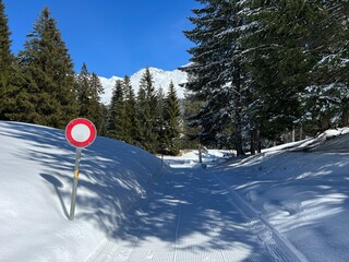 Wall Mural - Excellently arranged and cleaned winter trails for walking, hiking, sports and recreation in the area of the tourist resorts of Valbella and Lenzerheide in the Swiss Alps - Switzerland (Schweiz)