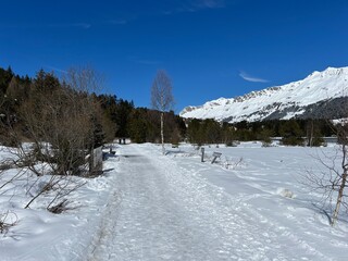 Wall Mural - Excellently arranged and cleaned winter trails for walking, hiking, sports and recreation in the area of the tourist resorts of Valbella and Lenzerheide in the Swiss Alps - Switzerland (Schweiz)