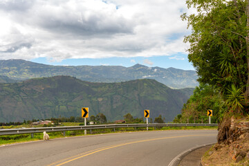 Wall Mural - Curve with traffic signs and mountains in the background in a Colombian landscape.