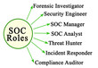 Security Operations Center (SOC) Roles
