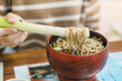 Woman tourist eating Negi Soba or Buckwheat noodles with a raw leek instead of chopsticks, famous soba when visit Ouchi Juku ancient farmer house in Shimogo, Minamiaizu, Fukushima Prefecture, Japan