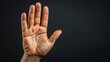© G.Go - Stop Gesture, One hand up with palm facing forward, signaling 'stop' or setting a boundary.