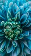 A close-up view capturing the intricate details of a vibrant blue and green flower in full bloom