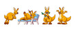 Cute kangaroo animals set isolated on white background. Vector cartoon illustration of funny australian animal jumping, lying on chaise lounge with coconut cocktail, eating leaves, waving hands, zoo
