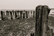 an ancient and ruined wooden pier extending into the sea from the shore to the horizon. Black and white photography.