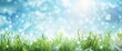 World Environment Day Concept With Green Grass And Blue Sky Abstract Background, Background HD For Designer 