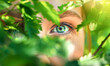 A woman's eye is visible through the leaves of a tree