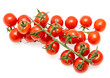 Cherry tomatoes on a branch on a white background.