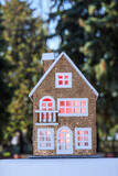 Fototapeta Tęcza - On a semi-blurred background of greenery, a house with red light in the windows
