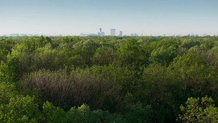 Wall Mural - Bucharest from above. Aerial 4k video landscape of north part of Bucharest, view from Baneasa Forest with green trees in foreground. Unique perspective of Bucharest, capital of Romania.