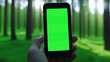 A hand holds a smartphone with a blank green screen in a lush, forested area at dusk, providing a tranquil and natural setting ideal for apps related to outdoor activities or nature exploration