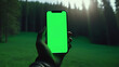 A hand holds a smartphone with a blank green screen in a lush, forested area at dusk, providing a tranquil and natural setting ideal for apps related to outdoor activities or nature exploration
