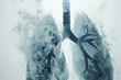 Human lungs x-ray. Health, Respiratory system concept