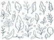 Foliage ink doodle set. Hand drawn leaves, twigs, herbs collection. Simple botanical isolated eco elements, vector graphic