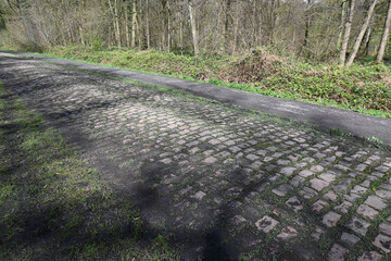 Poster - Paris Roubaix Trouée d'Aremberg pavés cycliste course velo