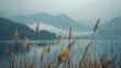 tall grass in front, mountains and lake far away, foggy,