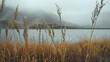 tall grass in front, mountains and lake far away, foggy,