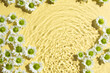 Beautiful chrysanthemum flowers in water on pale yellow background, top view. Space for text