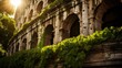 Roman coliseum's massive outer walls adorned with ivy and vines telling tales of time's passage