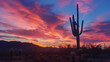 majestic saguaro cactus silhouetted against a vibrant sunset sky, with its towering form and iconic arms reaching upward, symbolizing the beauty and grandeur of the American Southwest.