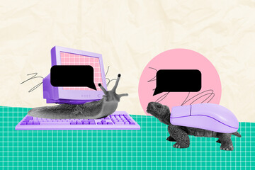 Sticker - Creative picture collage turtle mouse shell textbox communication dialog snail crawl pc screen monitor checkered background