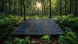 Solar Panel installed in nature