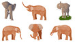 Vector illustration of elephants. Set of elephants in the most common positions isolated on white.