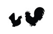 Silhouette vector illustration, male and female bantam chicken, bantam chicken design.
