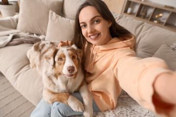 Sticker - Young woman with cute fluffy Australian Shepherd dog taking selfie in living room