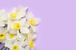 Composition with daffodil flowers on lilac background. Top view