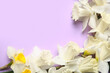 Composition with daffodil flowers on lilac background. Top view