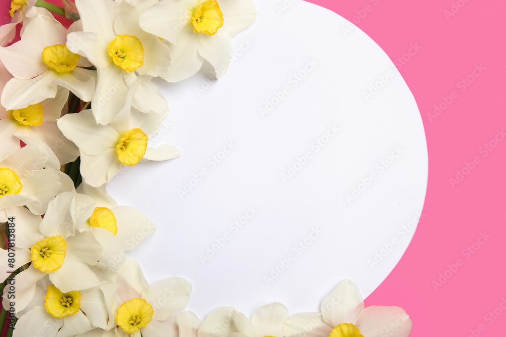 Composition with daffodil flowers and round blank card on pink background. Top view