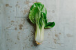 bok choy on a gray textured surface