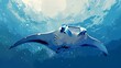 Majestic Manta Ray Gliding Through the Serene Underwater Realm