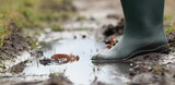 Fototapeta Młodzieżowe - A foot in wellington submerged in puddle and mud. Zbliżenie, detal.