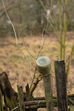 Fototapeta Młodzieżowe - Wooden old rails, on one of them hung a jar, close-up, detail, blurred background.