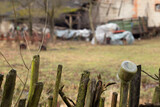 Fototapeta Młodzieżowe - Wooden rails of an old fence, on one of them hung a jar, in the background a rural backyard, retro.