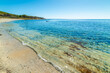 Clear water and blue sea in a beach in Sardinia