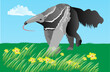 Giant anteater in its natural habitat. Vector illustration.