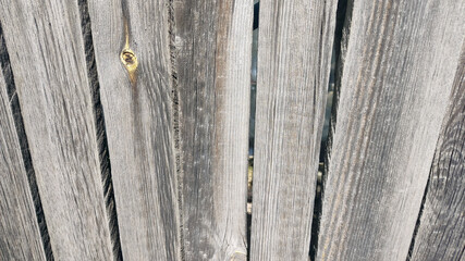 Old wooden boards, old fence, background for photo wood texture