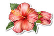 Red hibiscus flower sticker on white background
