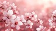 illustration of cherry blossoms in pink, white, and pink - and - white hues on a pink background