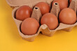 Boîte de douze œufs de poule ouverte en gros plan sur fond jaune