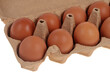 Boîte de douze œufs de poule ouverte en gros plan sur fond blanc