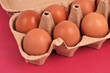 Boîte de douze œufs de poule ouverte en gros plan sur fond rouge