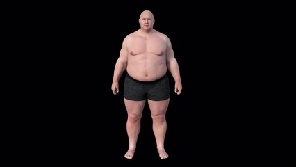 Poster - 3D animation depicting gradual transformation from normal weight to overweight, highlighting lifestyle factors and health implications.